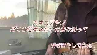 カネコアヤノ-ぼくら花束みたいに寄り添って　弾き語りcover