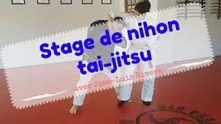 Cours de NIHON TAI-JITSU avec JOSE LUIS RIVERA (7e dan)