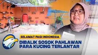 Cerita Pagi - Rumah Peduli Lindungi Kucing [Selamat Pagi Indonesia]