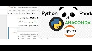 Python Pandas - Difference between iloc and loc explained in detail