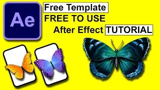 Butterfly Animation Tutorial in After Effects | Green Screen Project File | Free Download