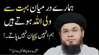 Hamaray Darmyan Bohat Sy Wali ULLAH Hotay Hain .. ! | Mufti Syed Adnan Kakakhail Sb. D.B.