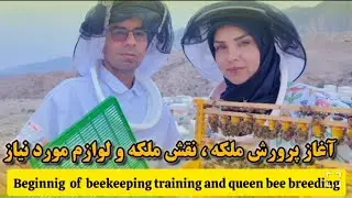 آموزش پرورش ملکه! ویدیو اول:لوازم مورد نیاز ملکه و تاثیر ملکه!  queen bee breeding