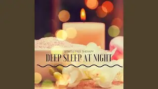 Sleep Inducing Music (for People Who Can't Sleep at Night)