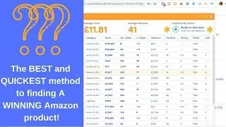 Fastest way to find an Amazon Product to sell. Niche Hunter.