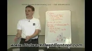 Ant Control - Professional Bug Sprays - Ant Guru