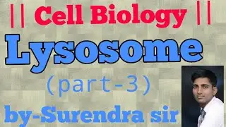 |L46||Lysosomes|Primary lysosome|Secondary lysosome||Lysosomal system #Phagosomes||Biogenesis|Part3|