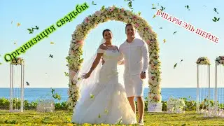 wedding in egypt - Wedding in Sharm-el-Sheikh
