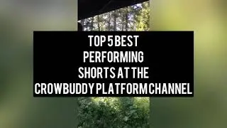 Top 5 Unmissable Crowbuddy Shorts: April's Sensations You Need to See! #corvids #top5