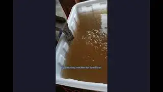 Small egg washing machine with 2300 eph