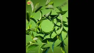 Start Your Day Strong with Lipton Green Tea 🌿 | 2 Cups to Goodness (10s 4:5 CHI)