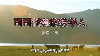 《可可托海的牧羊人》亚男演唱完整版，超越原唱王琪翻唱洋仔版本