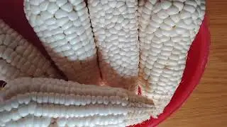 Can I eat corn if I have diabetes?