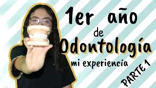 Mi experiencia en mi primer año de odontología pt.1