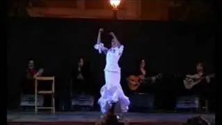 Melisa Calero por Guajira