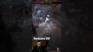 Hardcore SSF в Пое 2. На грани.