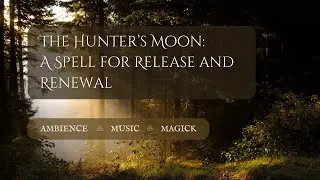 ✨ The Hunter&rsquo;s Full Moon | A Spell for Release and Renewal 🌕