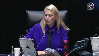 Segunda parte de la sesión de la Cámara de Senadores, del 25 de noviembre de 2025