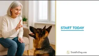 Ready to transform Your Dog's Behaviour? Get our 6-Day training program to stop bad habits.