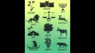 Lev King D - 12 tribes