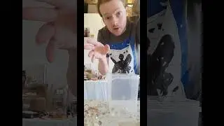 Dead Rat Meme Compilation 1