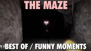 ROBLOX THE MAZE - Funny Moments | Best Of Live #1