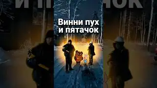 От этих пчел всего можно ждать