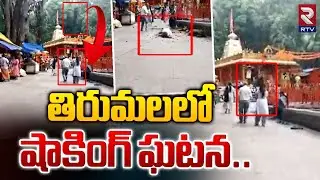 తిరుమలలో షాకింగ్ ఘటన..| Tirumala Japali Tree Branch Fell on Women Incident | RTV VZM