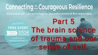 The brain science of trauma and our sense of self.