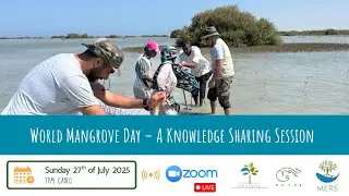 World Mangrove day 2025: 2 Case Studies on Mangrove restoration Egypt w. AUCcares & El Gouna