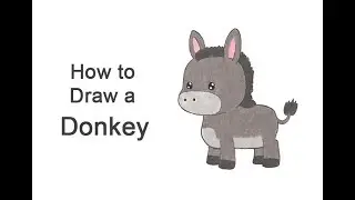 How to Draw a Donkey (Cartoon)