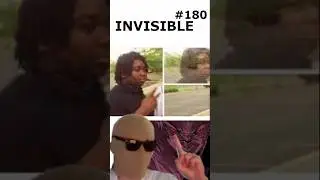 Fly or Invisible