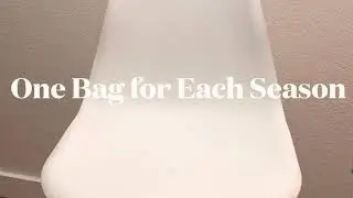 One Luxury Bag For Each Season | Tag by Liz Herrling
