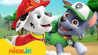 PAW Patrol Friendship Adventures & Rescues! #2 w/ Rocky and Marshall | 10 Minutes | Nick Jr.