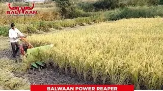 balwaan ka Power Reaper 5HP Model-3FD