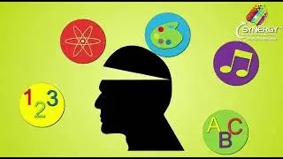 Synergy DMIT English Video