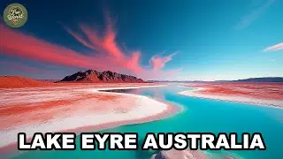 Lake Eyre Australia | Lake Eyre National Park, Vast Salt Flats, Birdwatching & Scenic Flights AL