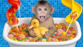 Baby Monkey BinBin&rsquo;s Fun Bath with Candies and a Duckling in a Colorful Tub! | Mono BinBin Familia