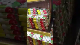 Fortune teller gift shop famous foods/ drinks + famous Japanese tv host & comedian inside