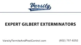 Expert Gilbert Exterminators at Varsity Termite & Pest Control