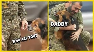 🐶 Most Heartwarming Dog Reunion with Their Owners 💖 That Will Melt Your Heart 🐾