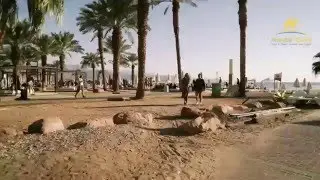 Mantis Tours | Eilat, Israel