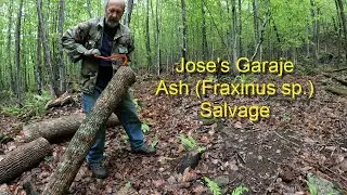 Jose's Garaje Ash Salvage #diy
