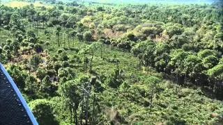 Airborne Eagle Surveys Help Protect Wildlife