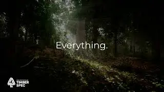 Forests supporting biodiversity