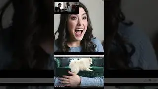 This Animal Had Me CRYING Laughing! 😂 My Reaction