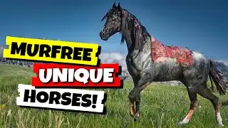 Scarred and Unique Horses You Can Get Early in RDR2 (Black Rabicano and More)