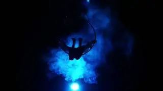Jester's Mind