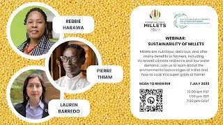 Sustainability of Millets