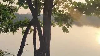 The Calm Side of Mumbai | Seawoods Navi Mumbai Walk 🌿